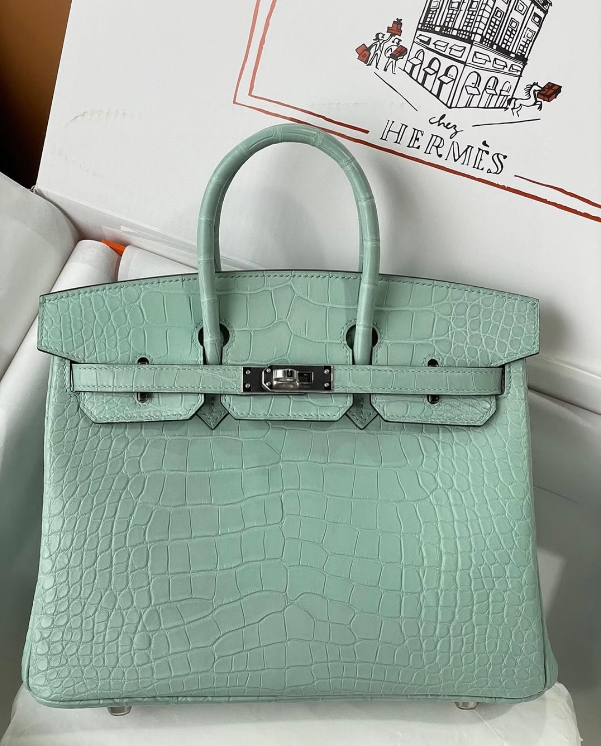 Birkin 25-30 mint green matte crocodile leather