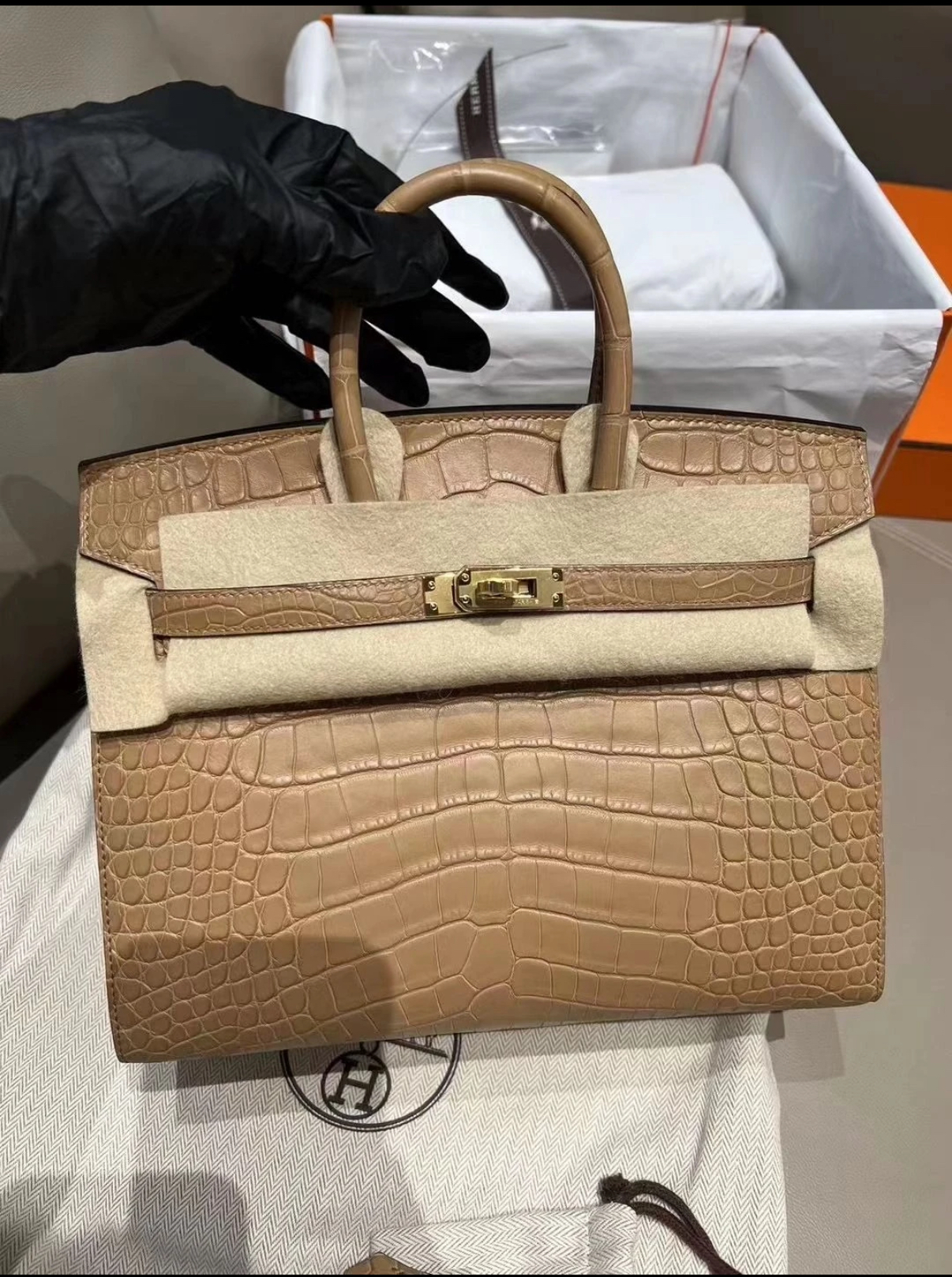 Birkin 25-30 Milk Tea Matte Crocodile Leather