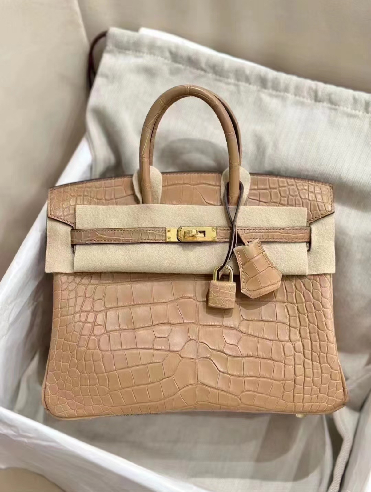 Birkin 25-30 Milk Tea Matte Crocodile Leather
