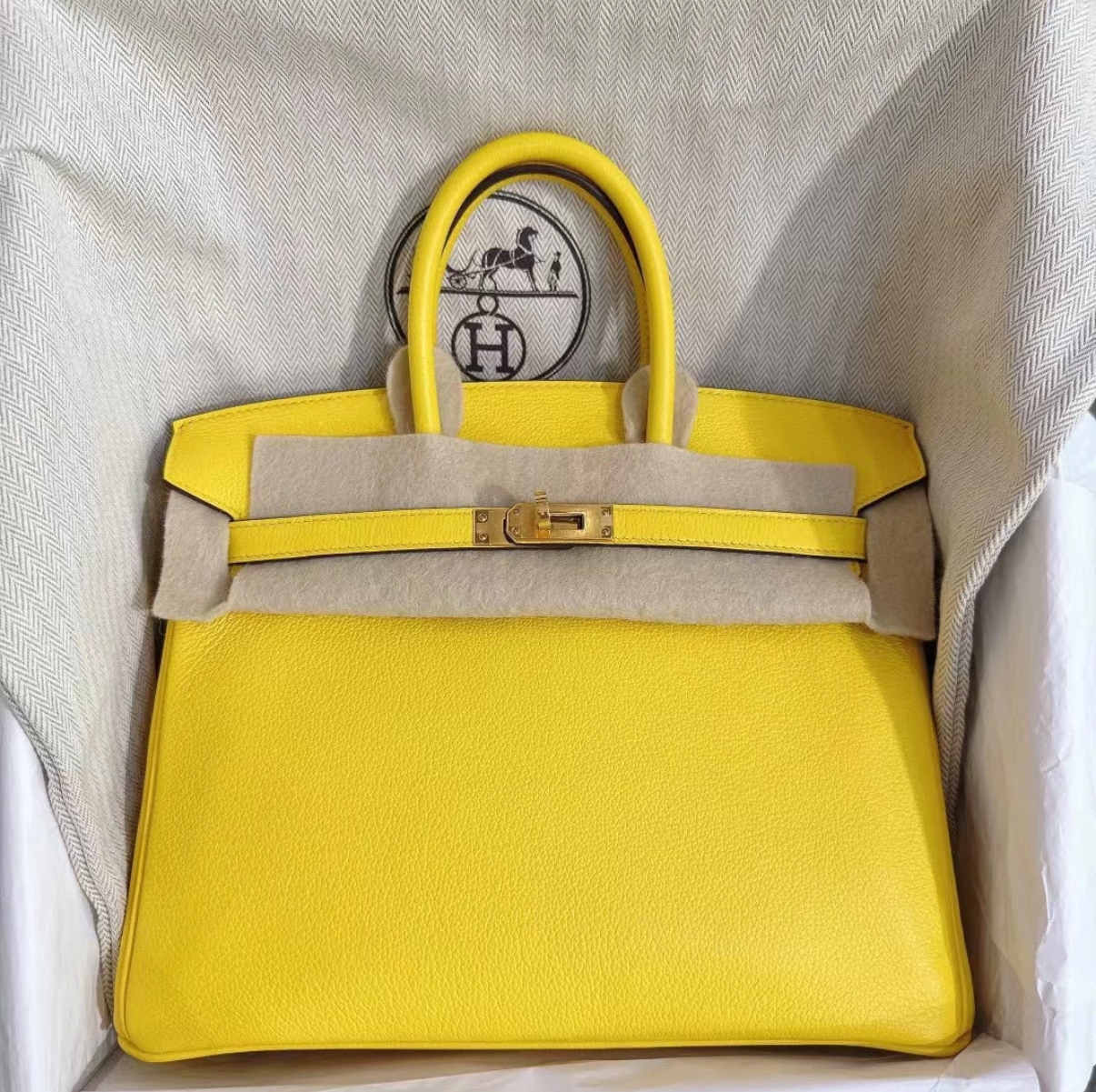 Bikrin 25-35 Naples Yellow Gold Buckle Customization