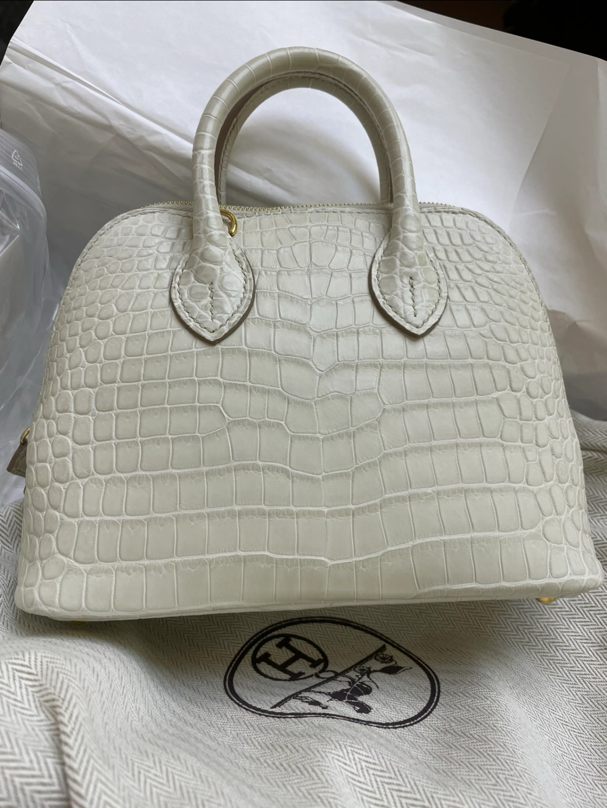 Bolide Mini 18CM Matte crocodile leather beige