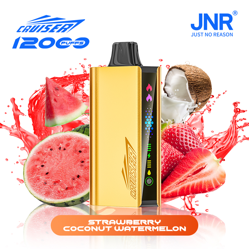 10pcs | JNR Cruiser Gold Disposable Vape