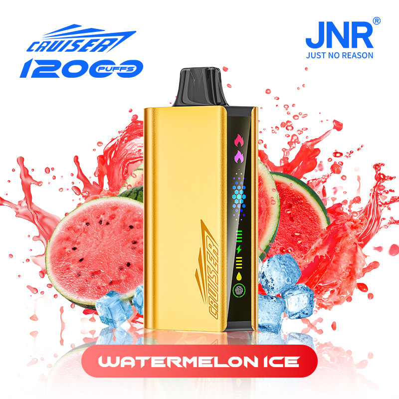 10pcs | JNR Cruiser Gold Disposable Vape