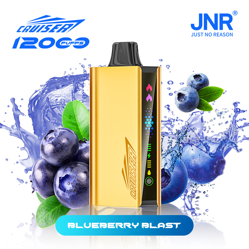 10pcs | JNR Cruiser Gold Disposable Vape