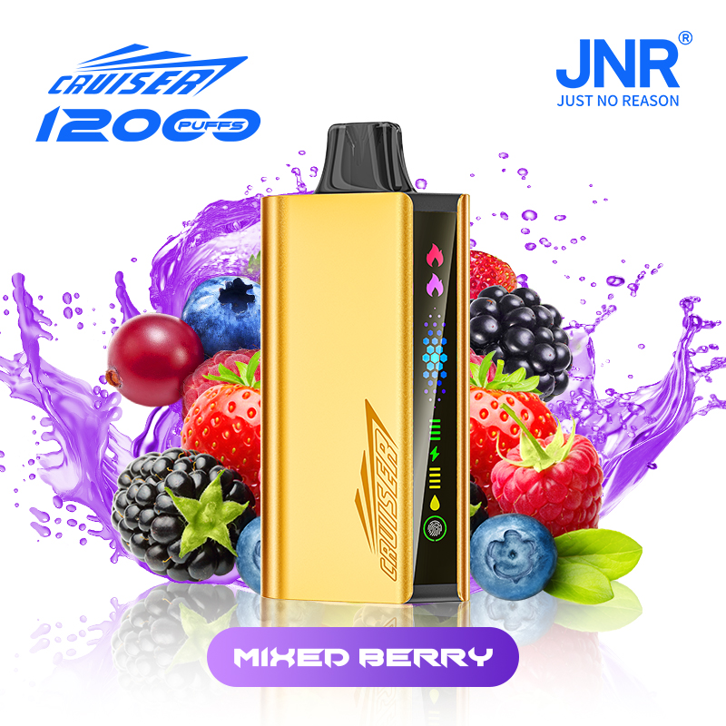 10pcs | JNR Cruiser Gold Disposable Vape