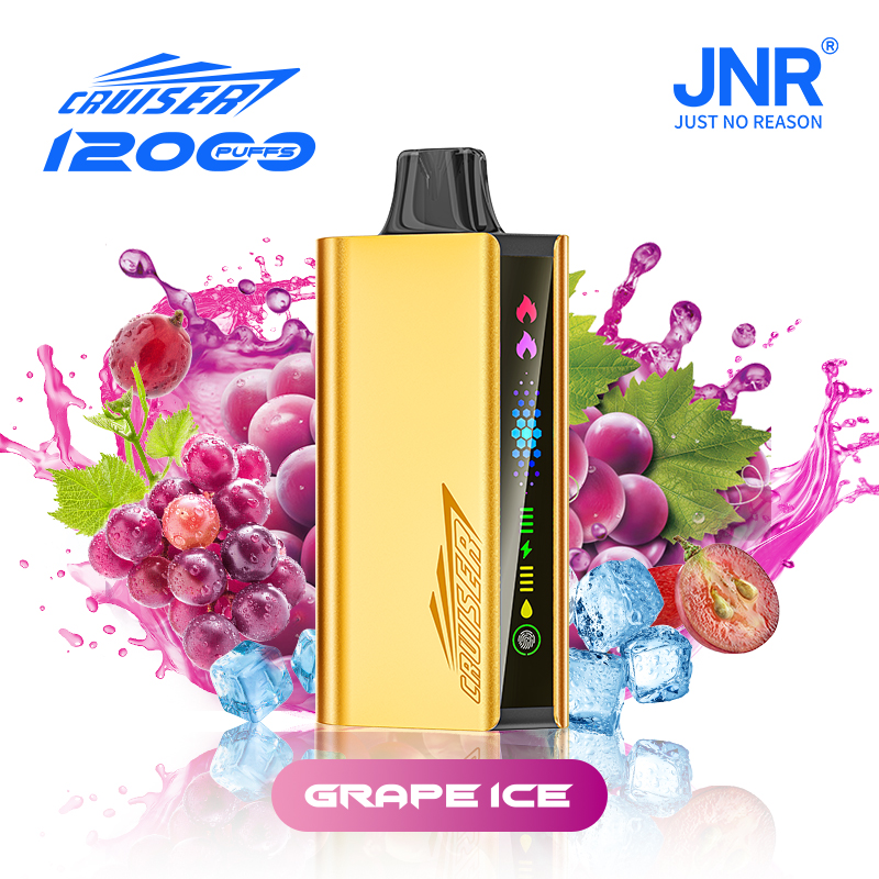 10pcs | JNR Cruiser Gold Disposable Vape