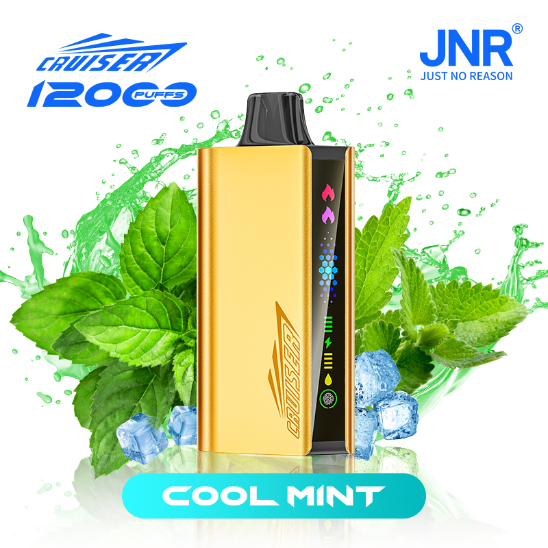 Cool Mint | JNR Cruiser Gold Disposable Vape