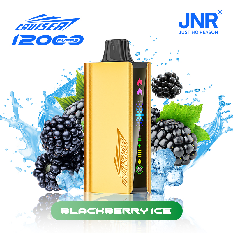 JNR Cruiser Gold Disposable Vape 10pcs