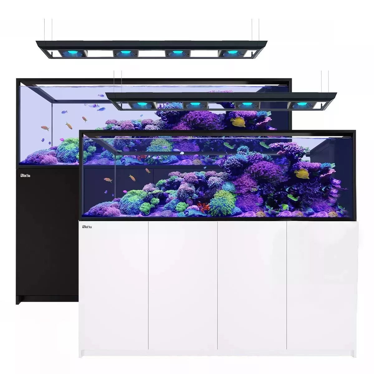 Reefer MAX Peninsula S-950 G2+ System (200 Gal)