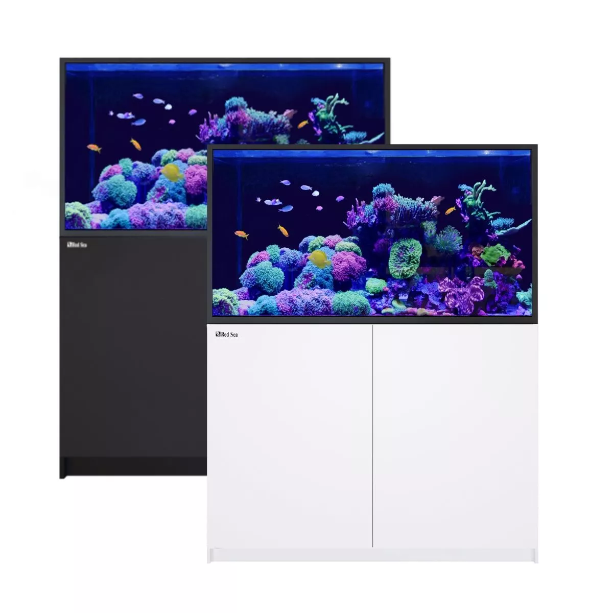 REEFER S-550 G2+ - Red Sea
