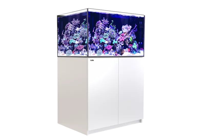 REEFER XL 300 G2+ - Red Sea