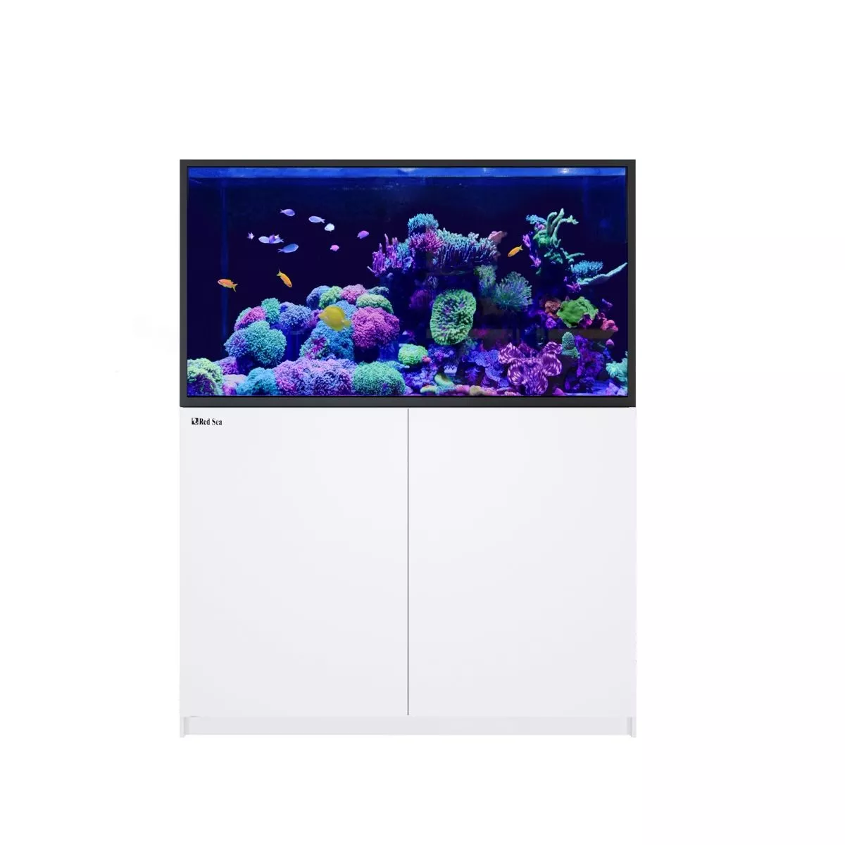 REEFER S-550 G2+ - Red Sea