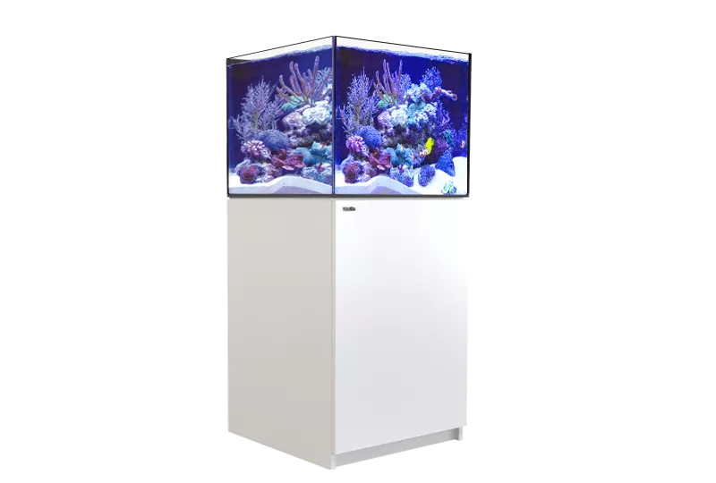 REEFER XL 200 G2+ - Red Sea