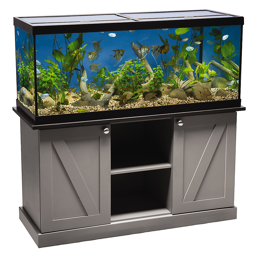 All Aquariums