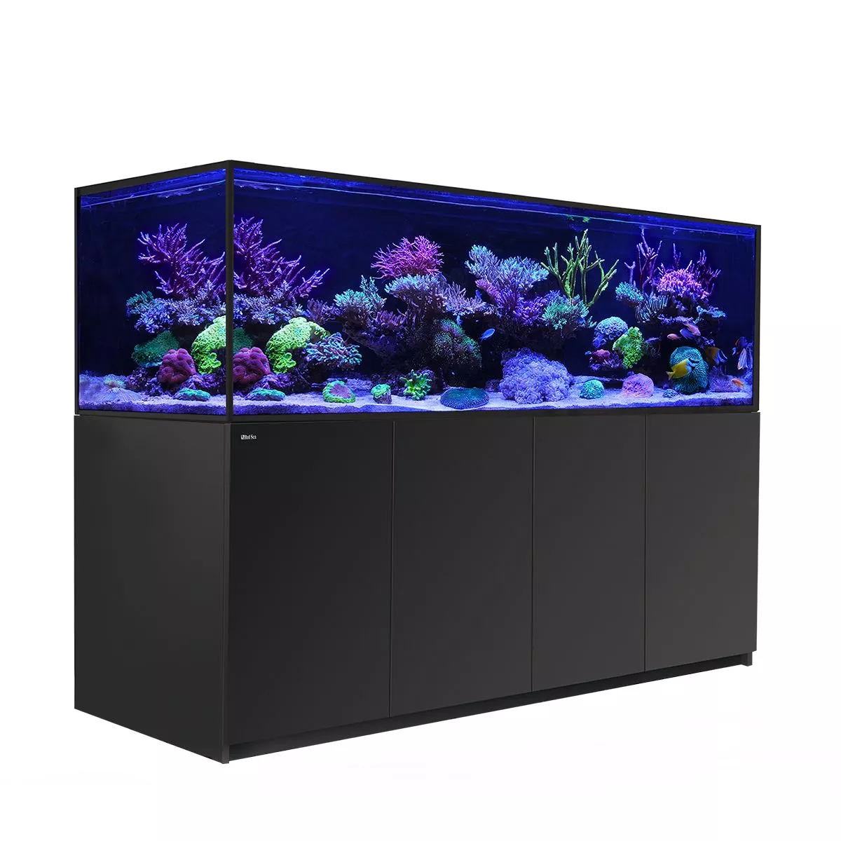 REEFER S-1000 G2+ - Red Sea