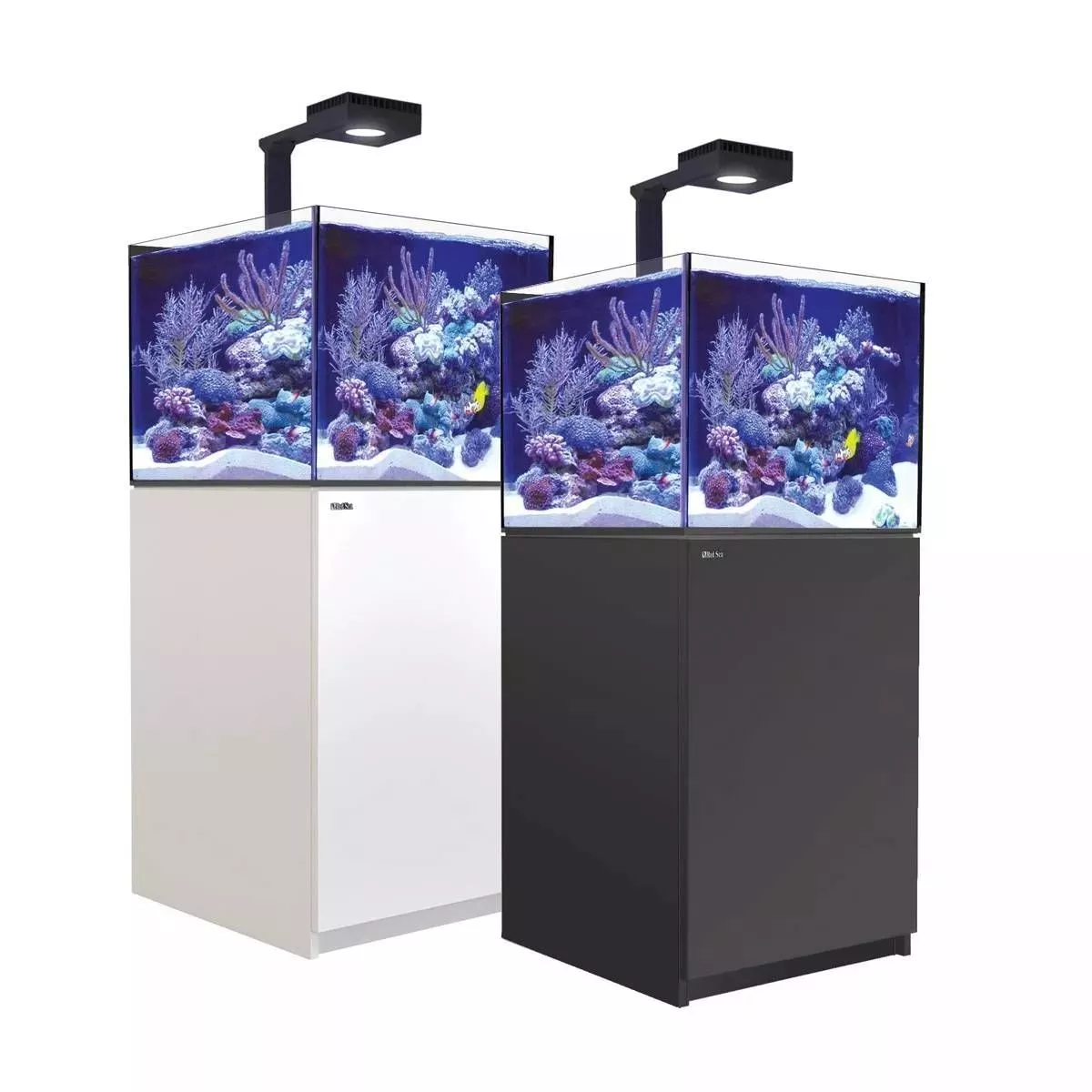 Reefer MAX 200 G2+ System (42 Gal)