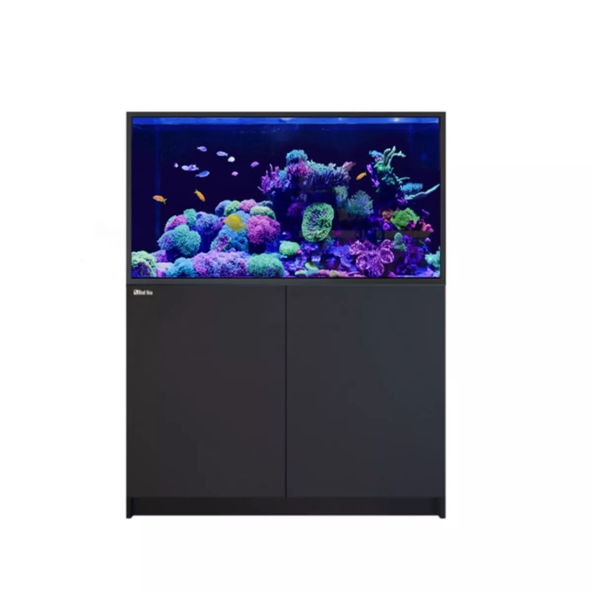 REEFER S-550 G2+ - Red Sea