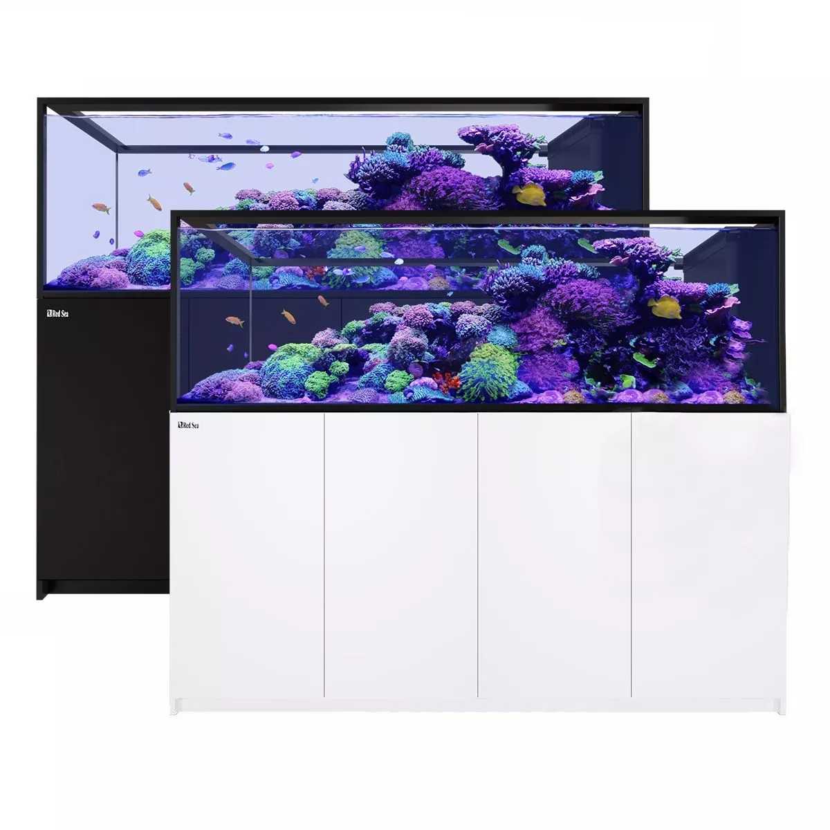 REEFER Peninsula S-950 G2+ - Red Sea