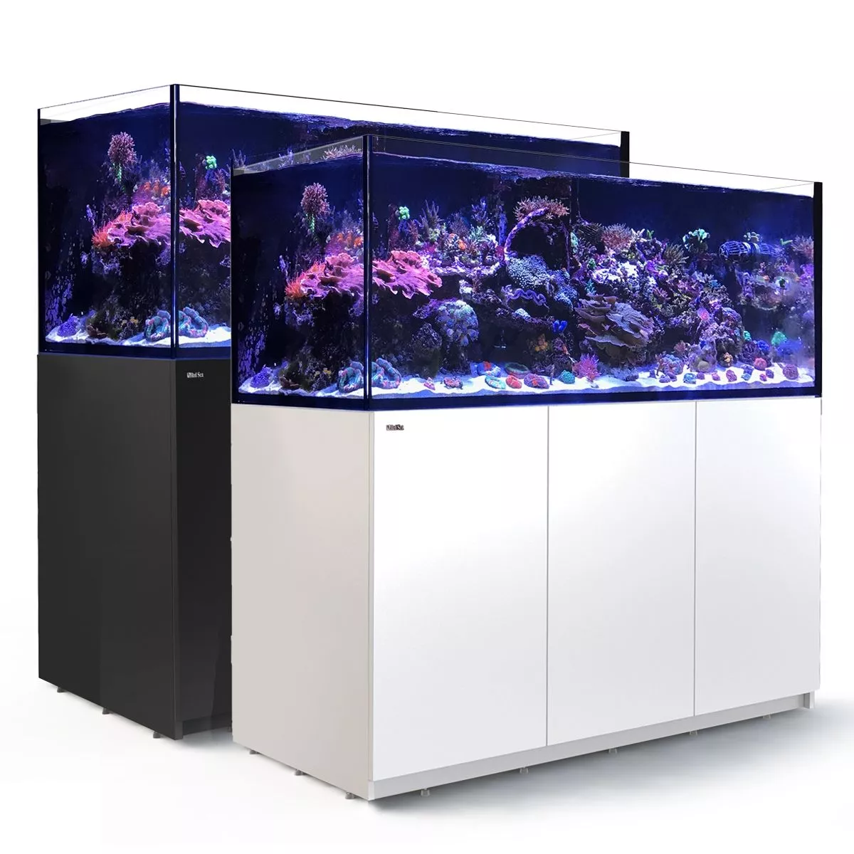REEFER XXL 750 G2+ - Red Sea