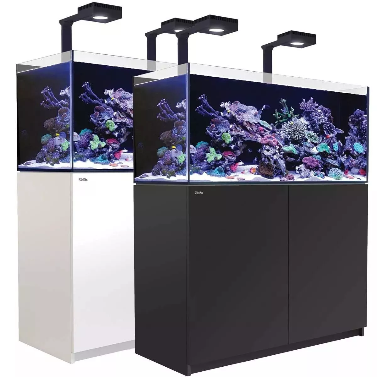 Red Sea Aquariums