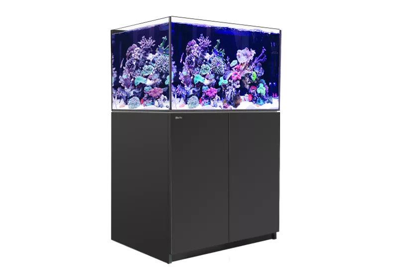 REEFER XL 300 G2+ - Red Sea