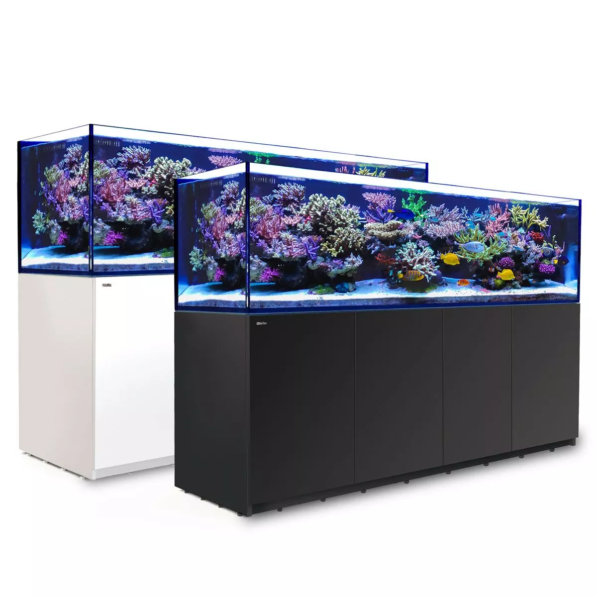 REEFER 3XL 900 G2+ - Red Sea