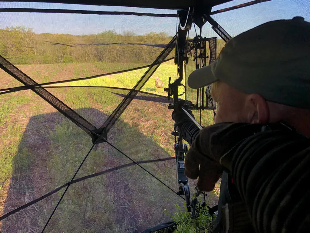 PREVUE 2- SEE THROUGH BLIND