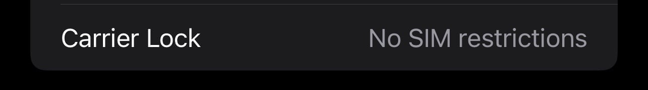 Apple iPhone 13 Pro Max 256 GB in Sierra Blue 1N66