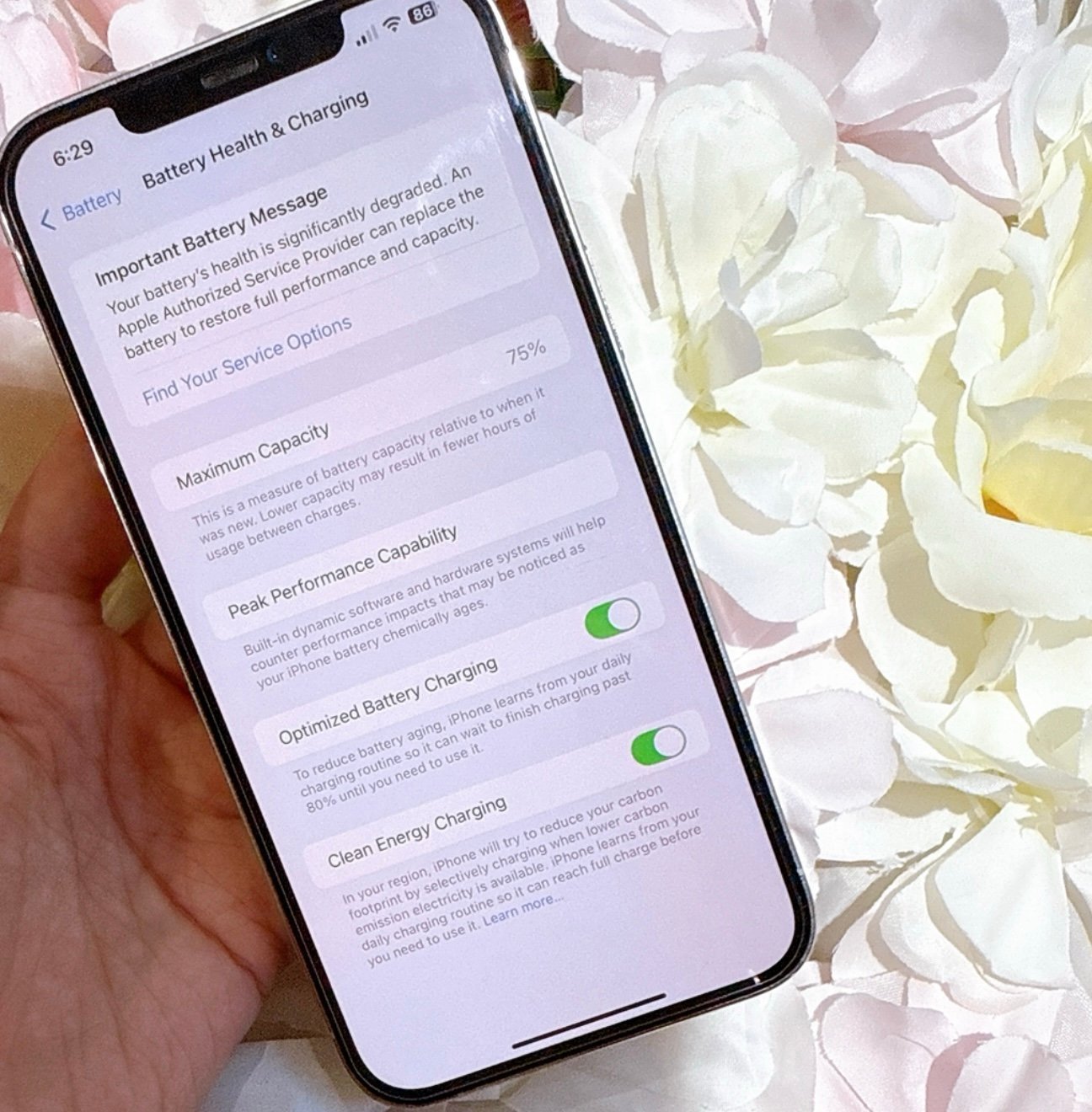 Apple iPhone 12 Pro Max 256 GB in Silver White Unlocked 2P11