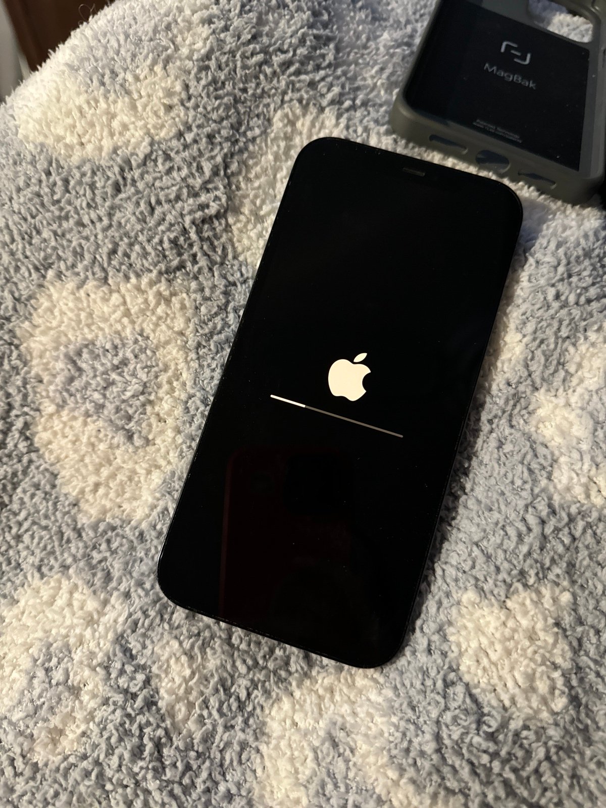 Unlocked iPhone 12 Pro Max 2T51