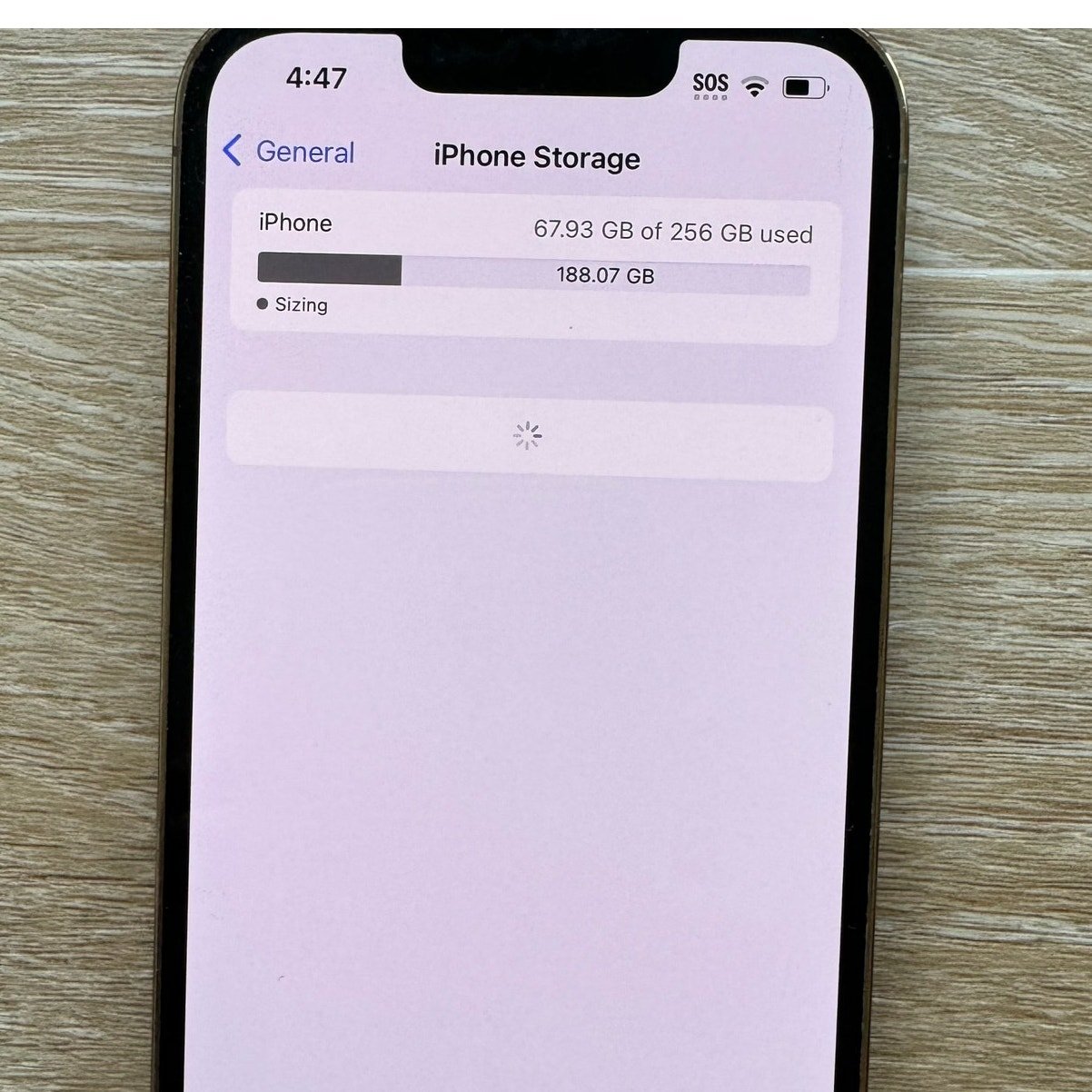 iPhone 13 Pro - Cracked Camera Glass 256GB 7U61