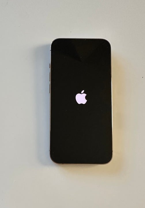 iPhone 13 Pro Gold 256GB Unlocked 5V58