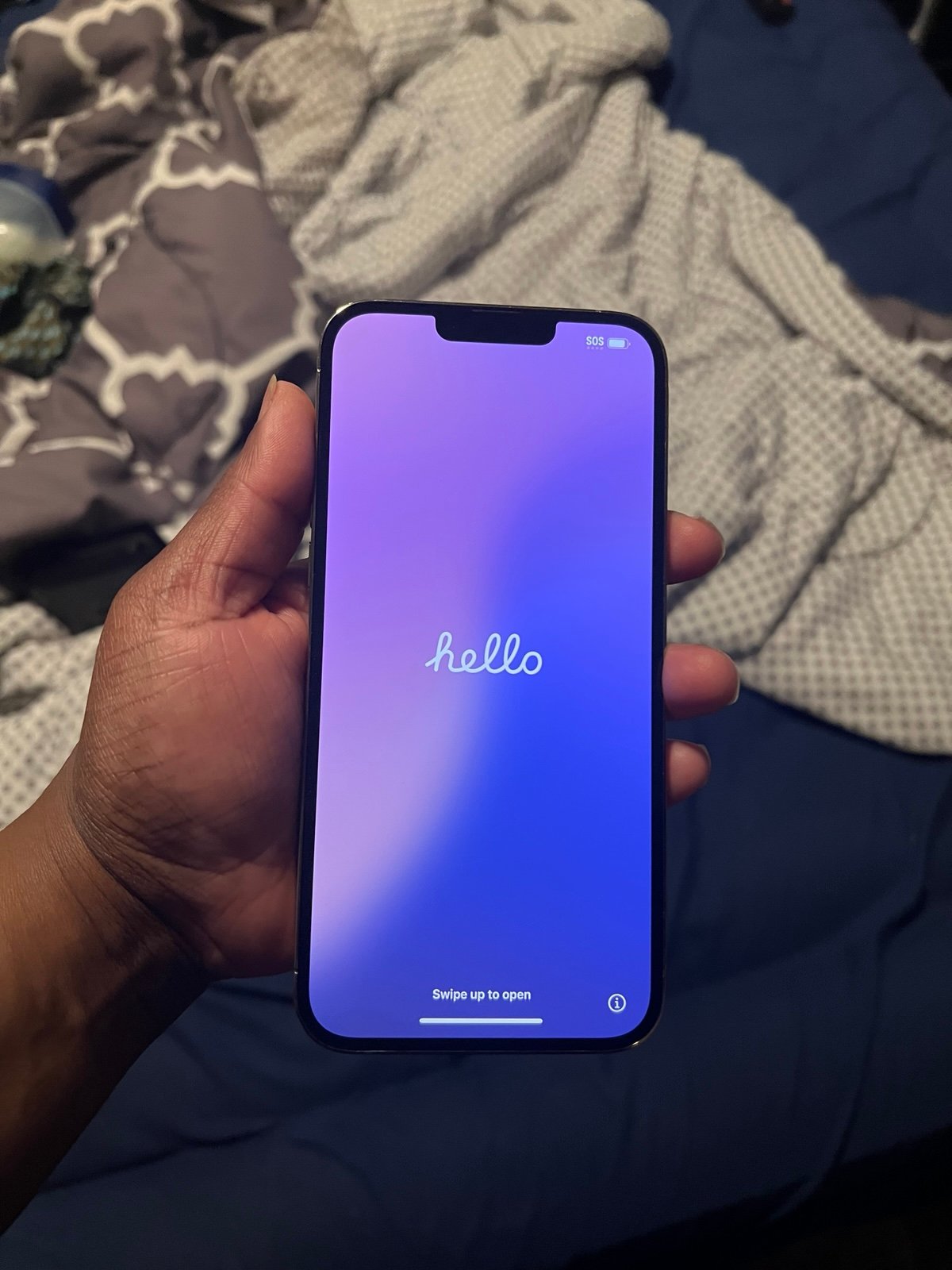 iPhone 13 Pro Max 256GB Unlocked 8S88