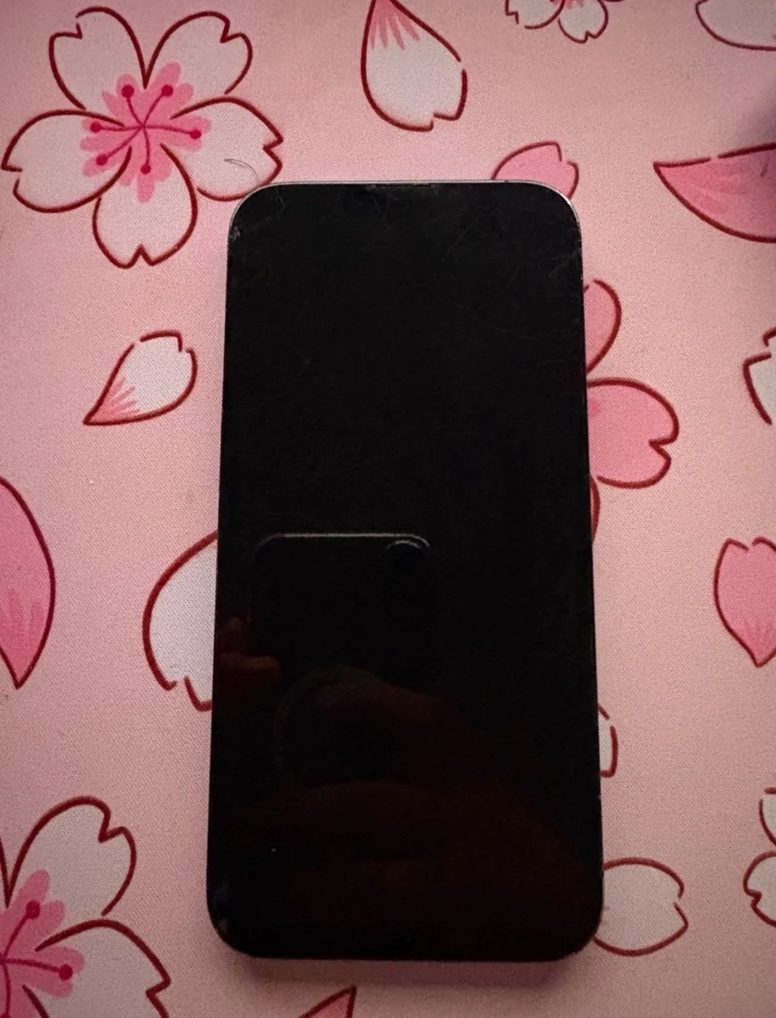 iphone 13 pro max *UNLOCKED* 2B99