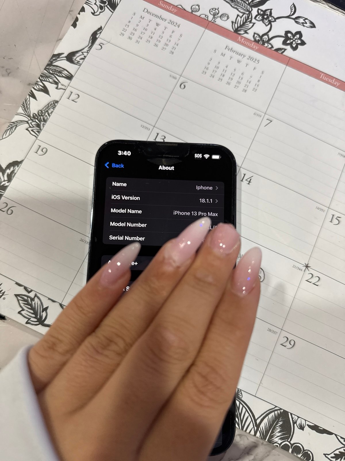 iPhone 13 Pro Max 2E38