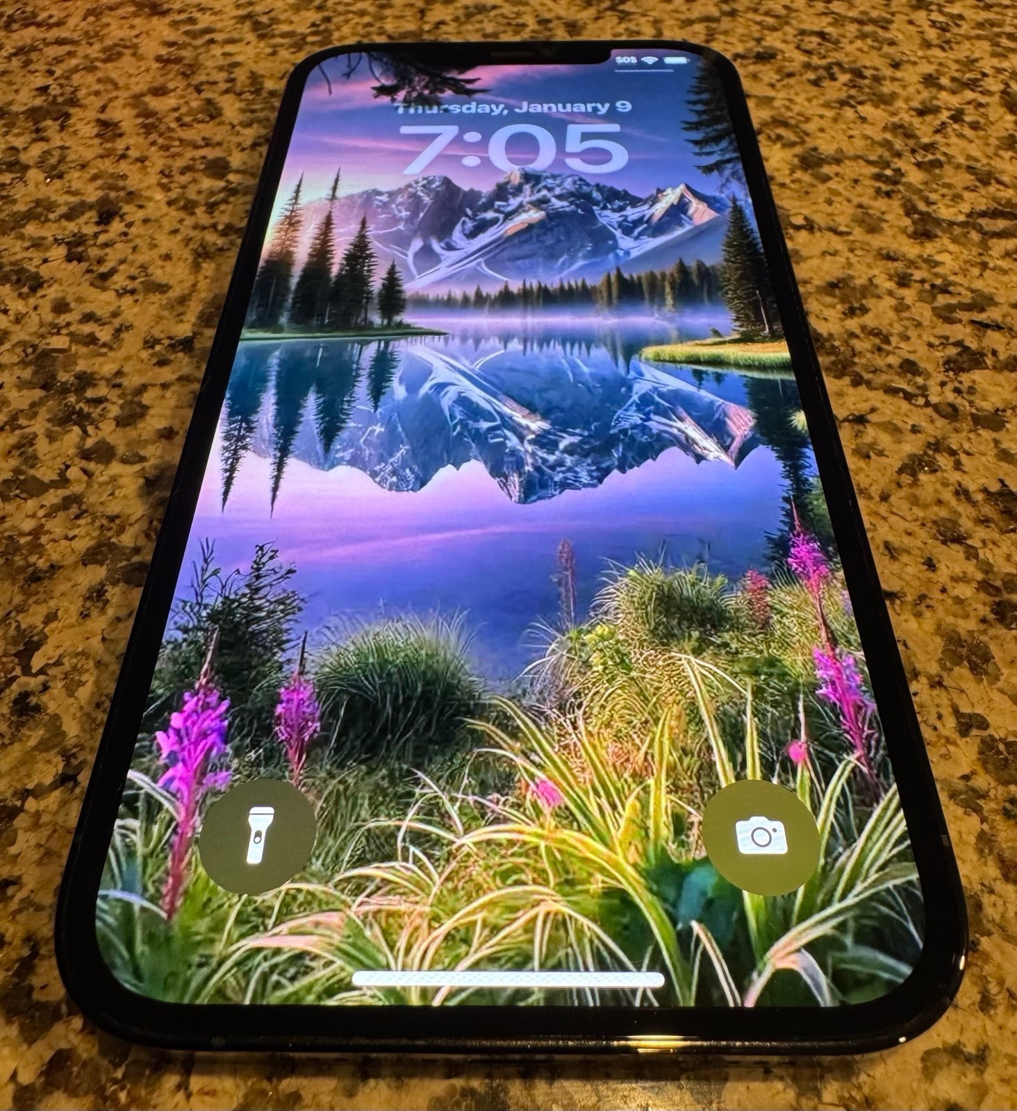 iPhone 12 Pro Max 512GB 9S89