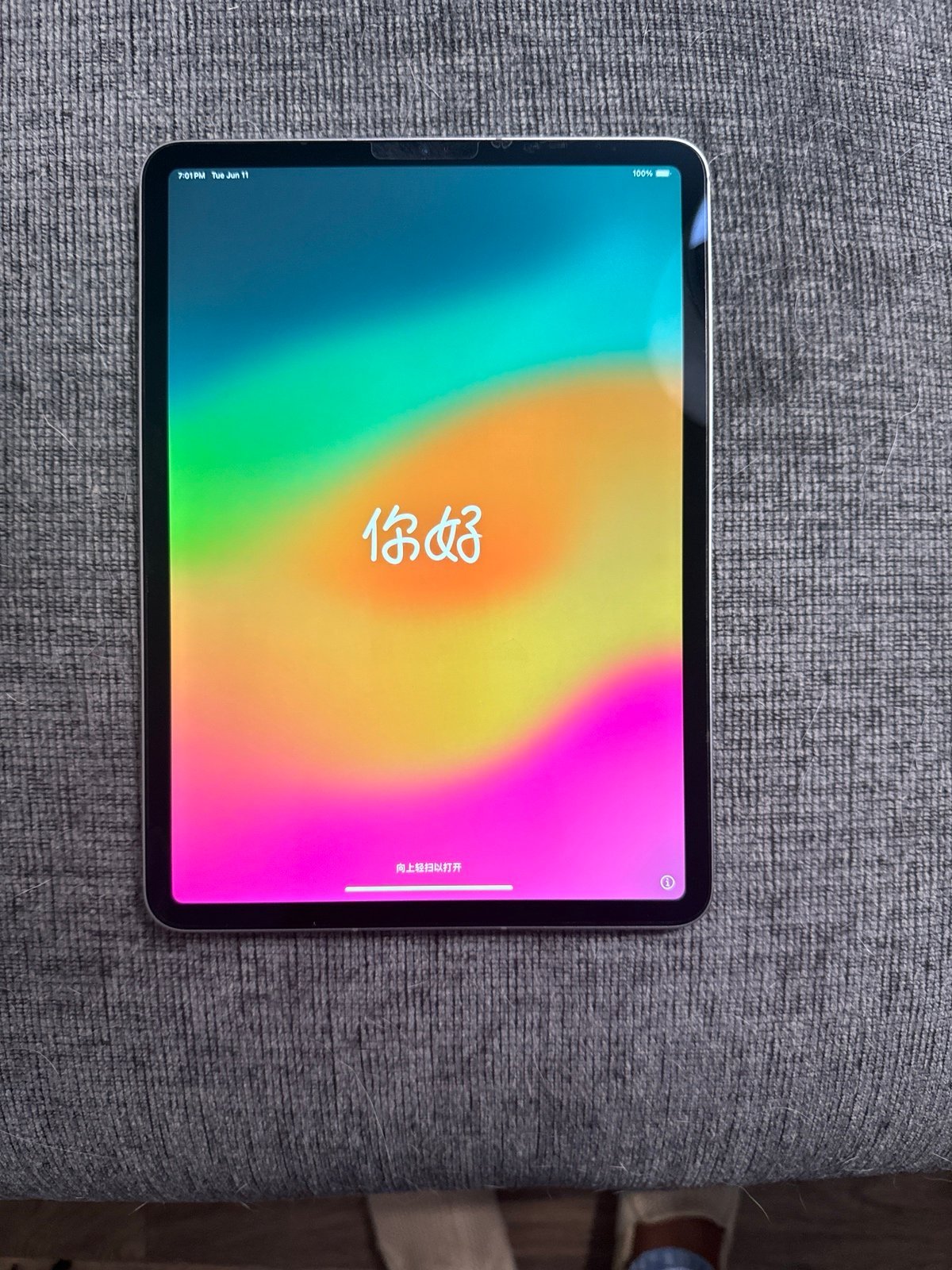 ipad pro 4th generation plus Apple Pencil 128 gb 9J21