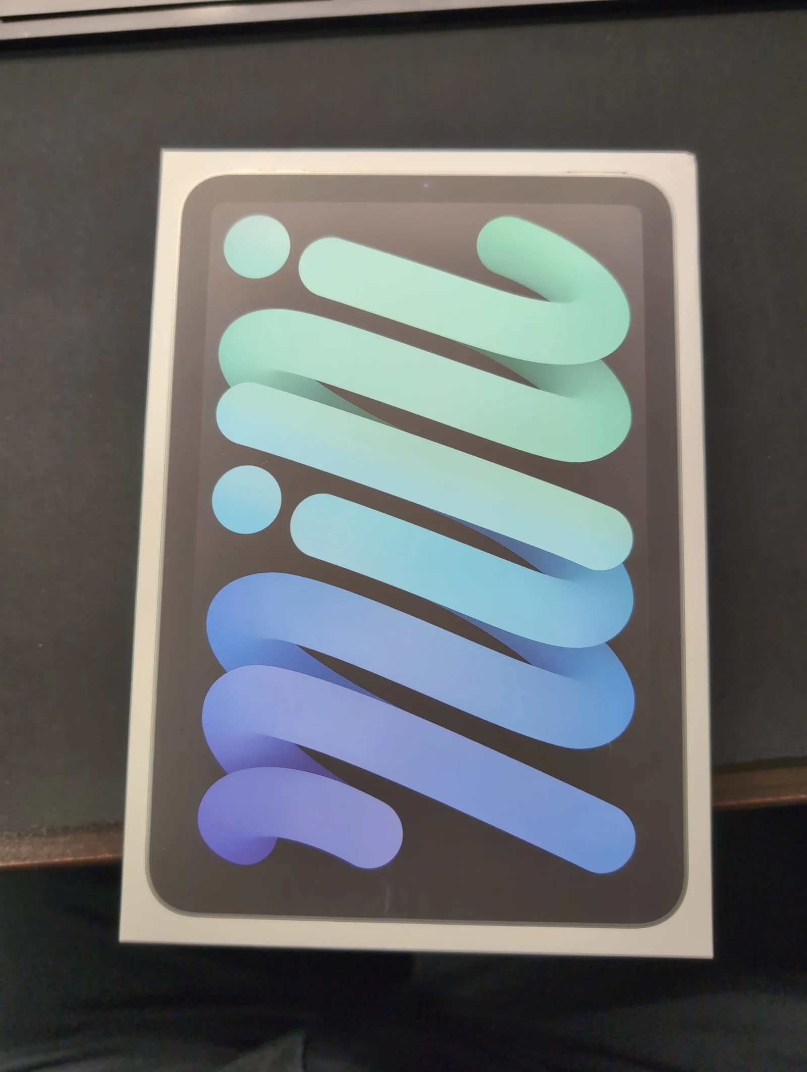 iPad Mini (Latest Gen) A17 Pro Space Grey 128 GB WiFi+LTE