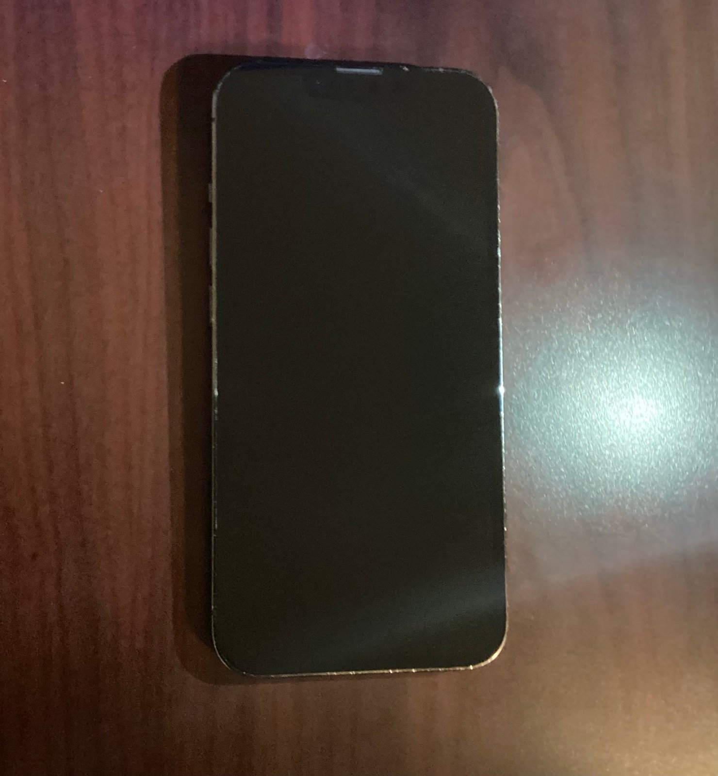 iPhone 13 Pro 128 GB Graphite UNLOCKED 100% Battery Health 1P76