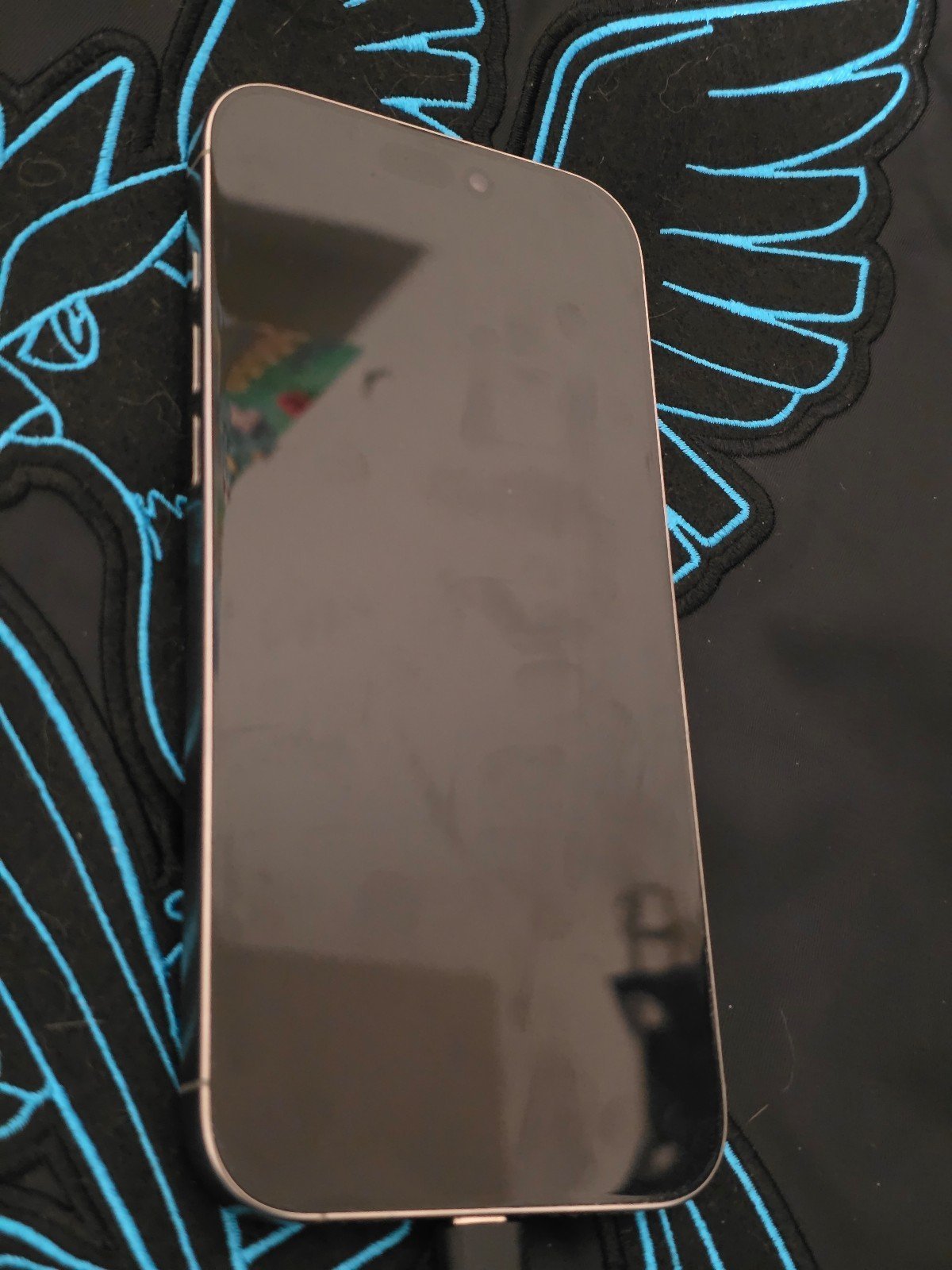 iPhone 16 Pro Max Silver 1B25