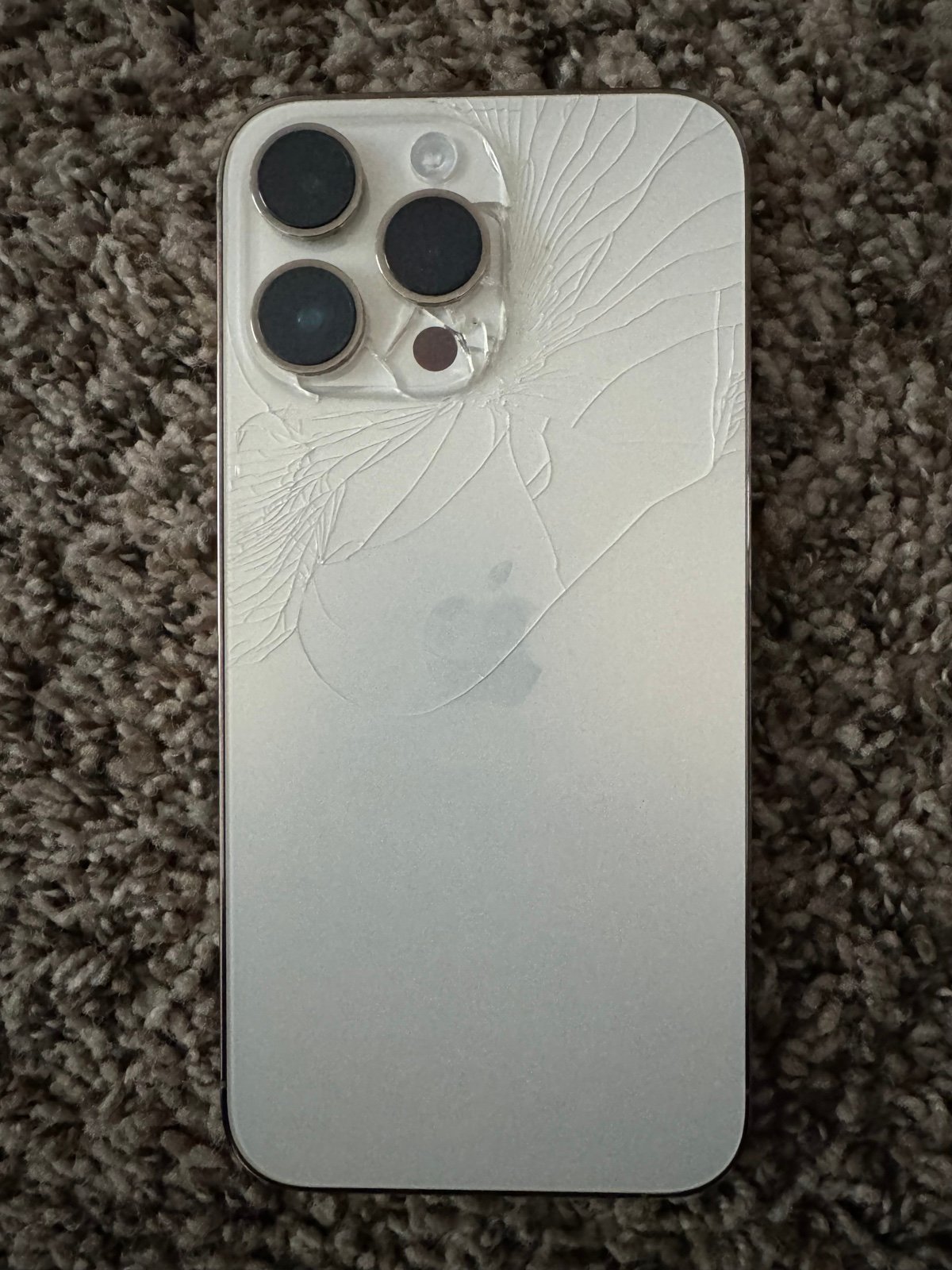 iPhone 14 Pro Max 1Z55