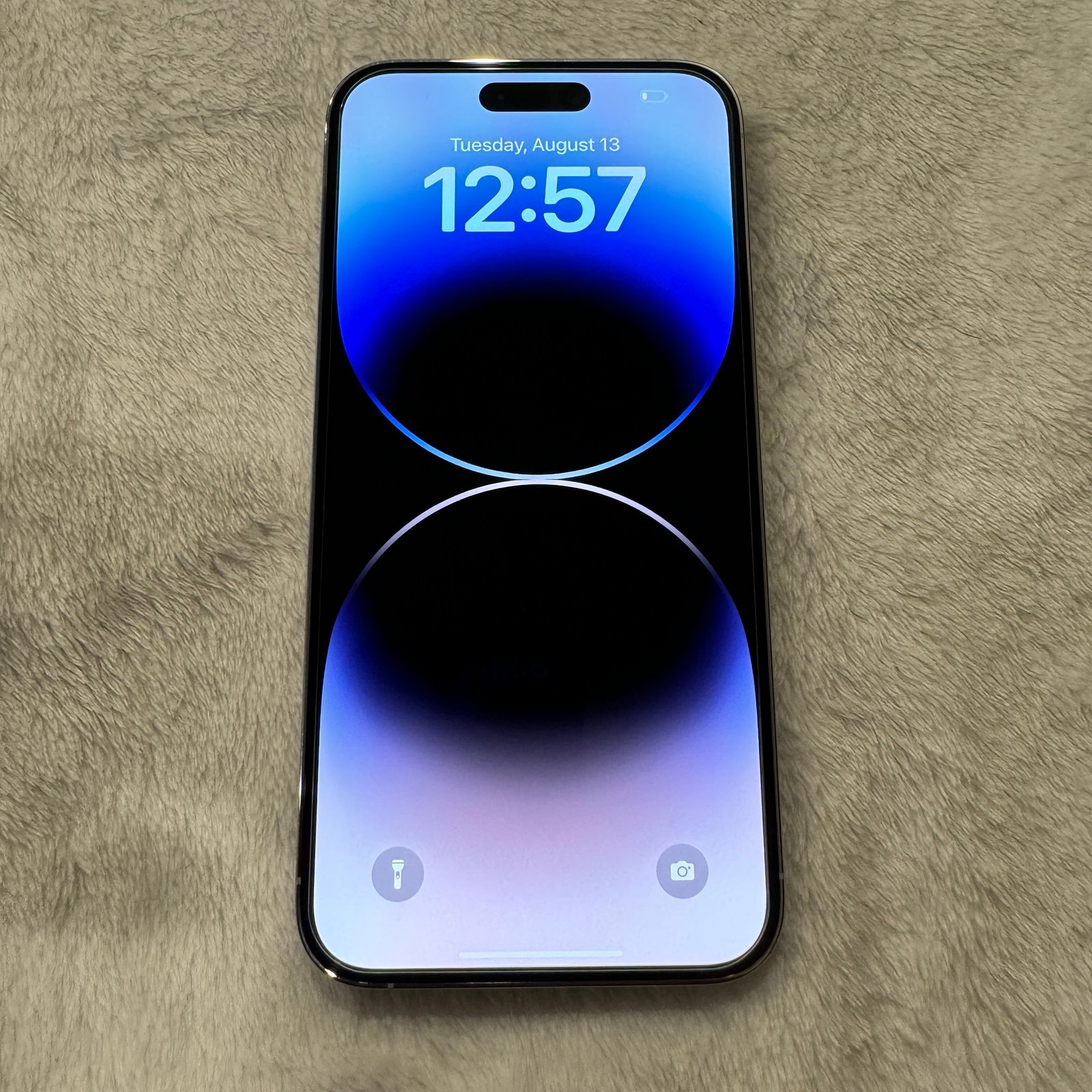 Apple iPhone 14 Pro Max 256GB Unlocked Silver White 1K56