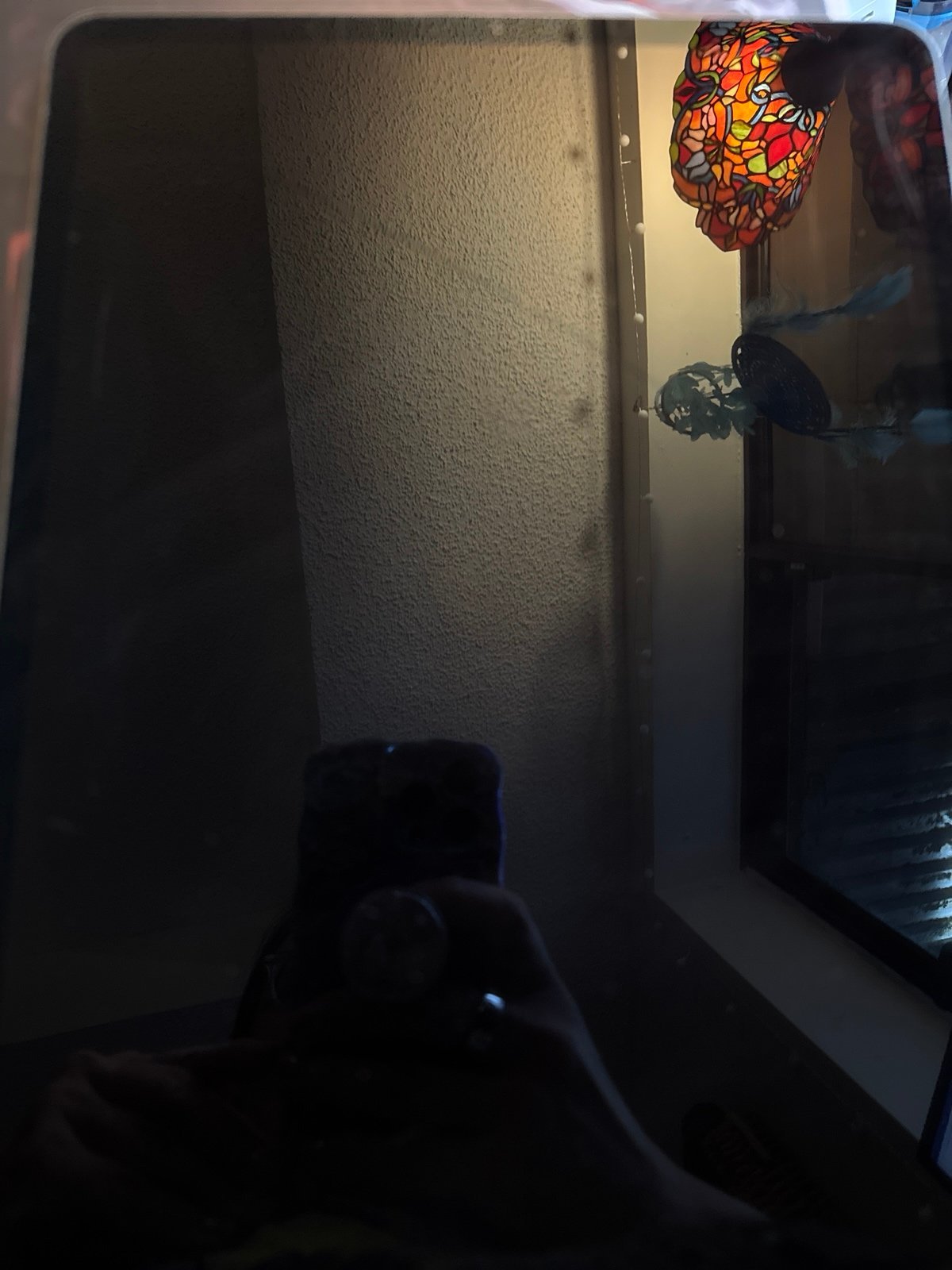 iPad Pro (12.9 in) WiFi 8J38