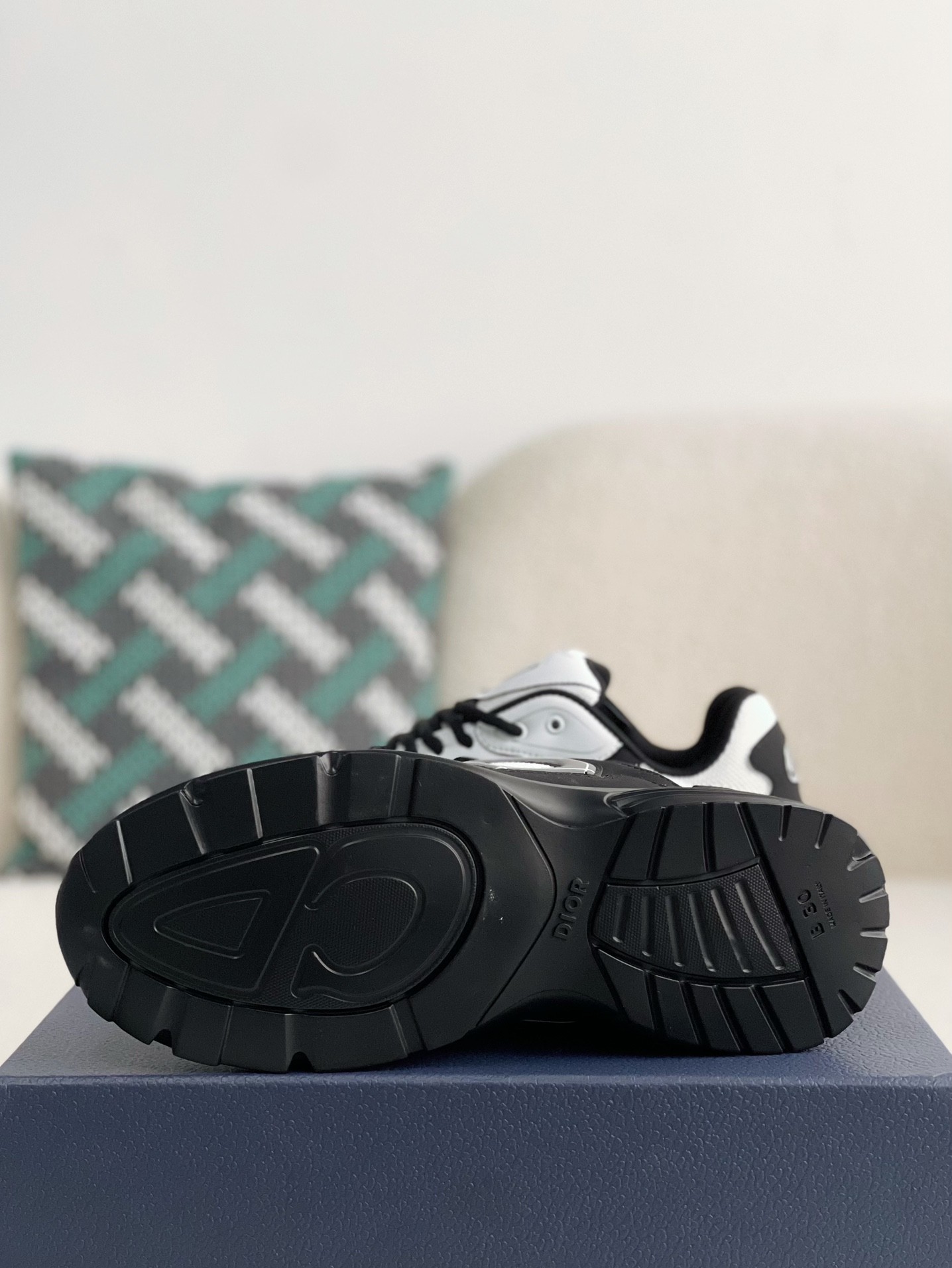 Dior B30 New Sneaker