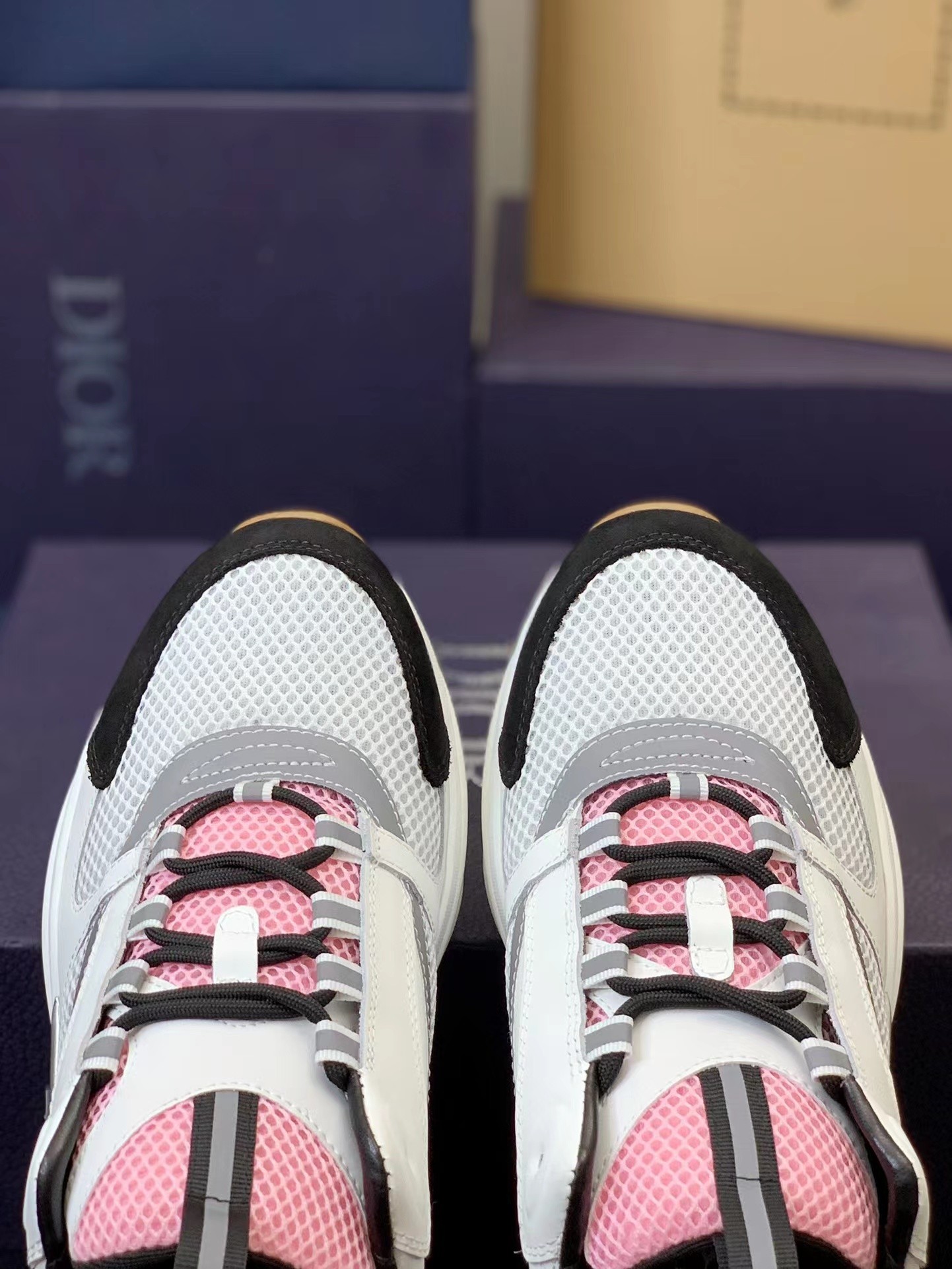 DlOR classic B22 Clunky Sneaker