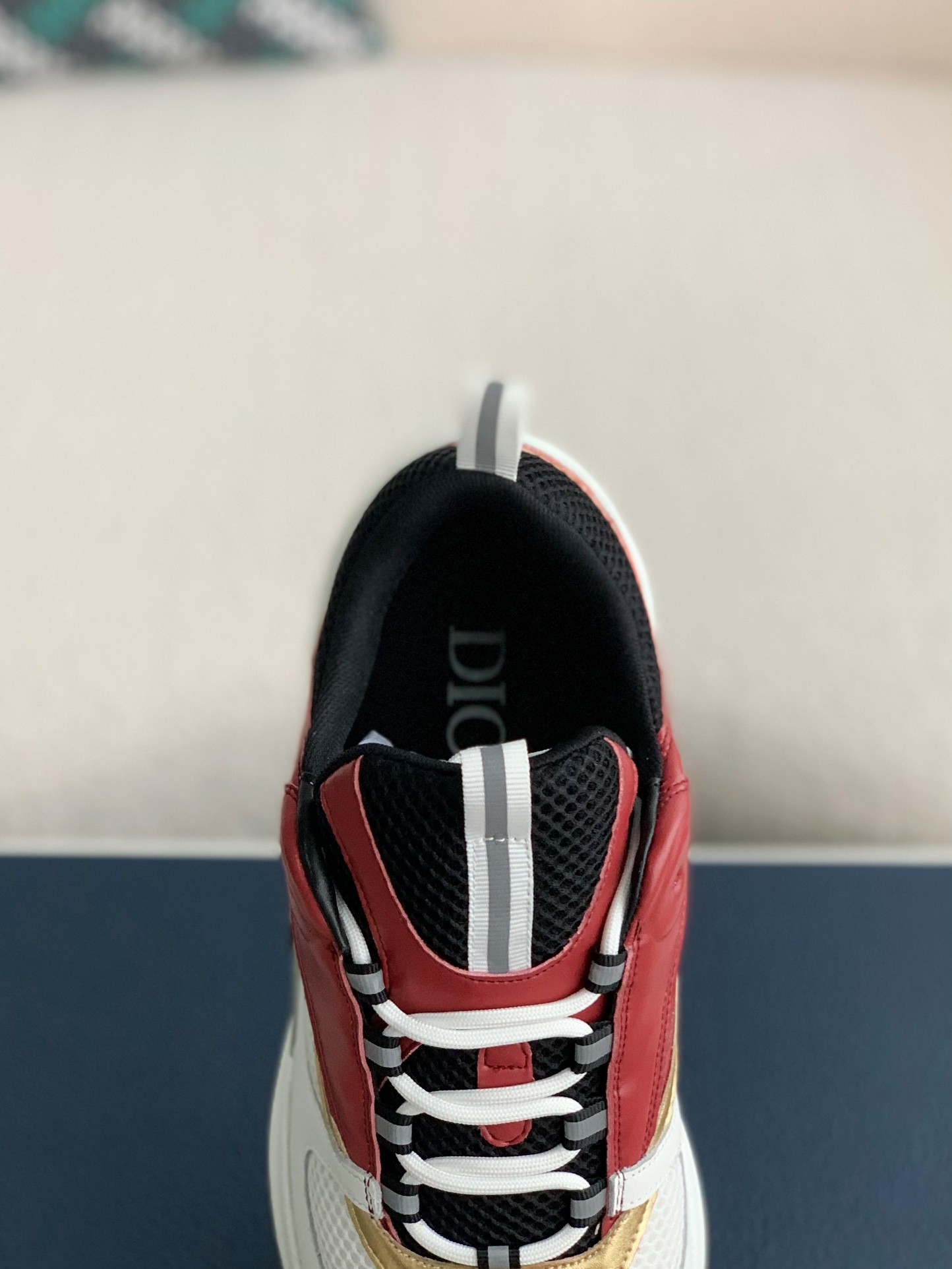 DlOR classic B22 Clunky Sneaker