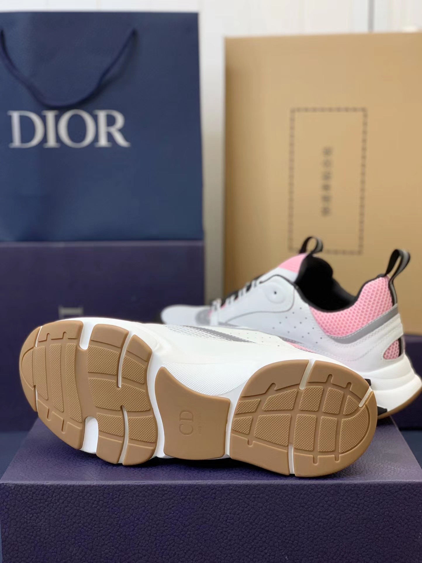 DlOR classic B22 Clunky Sneaker