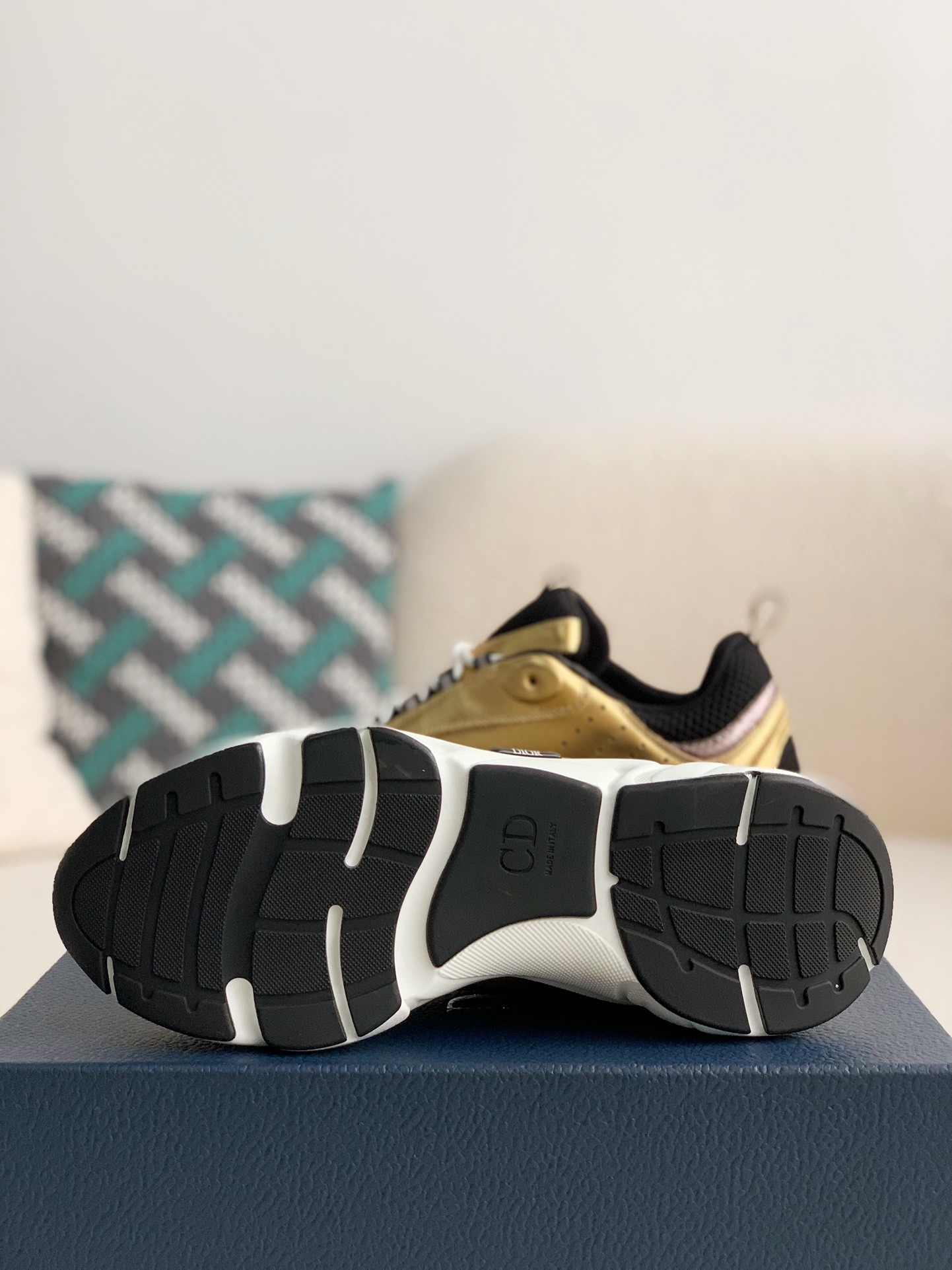 DlOR classic B22 Clunky Sneaker