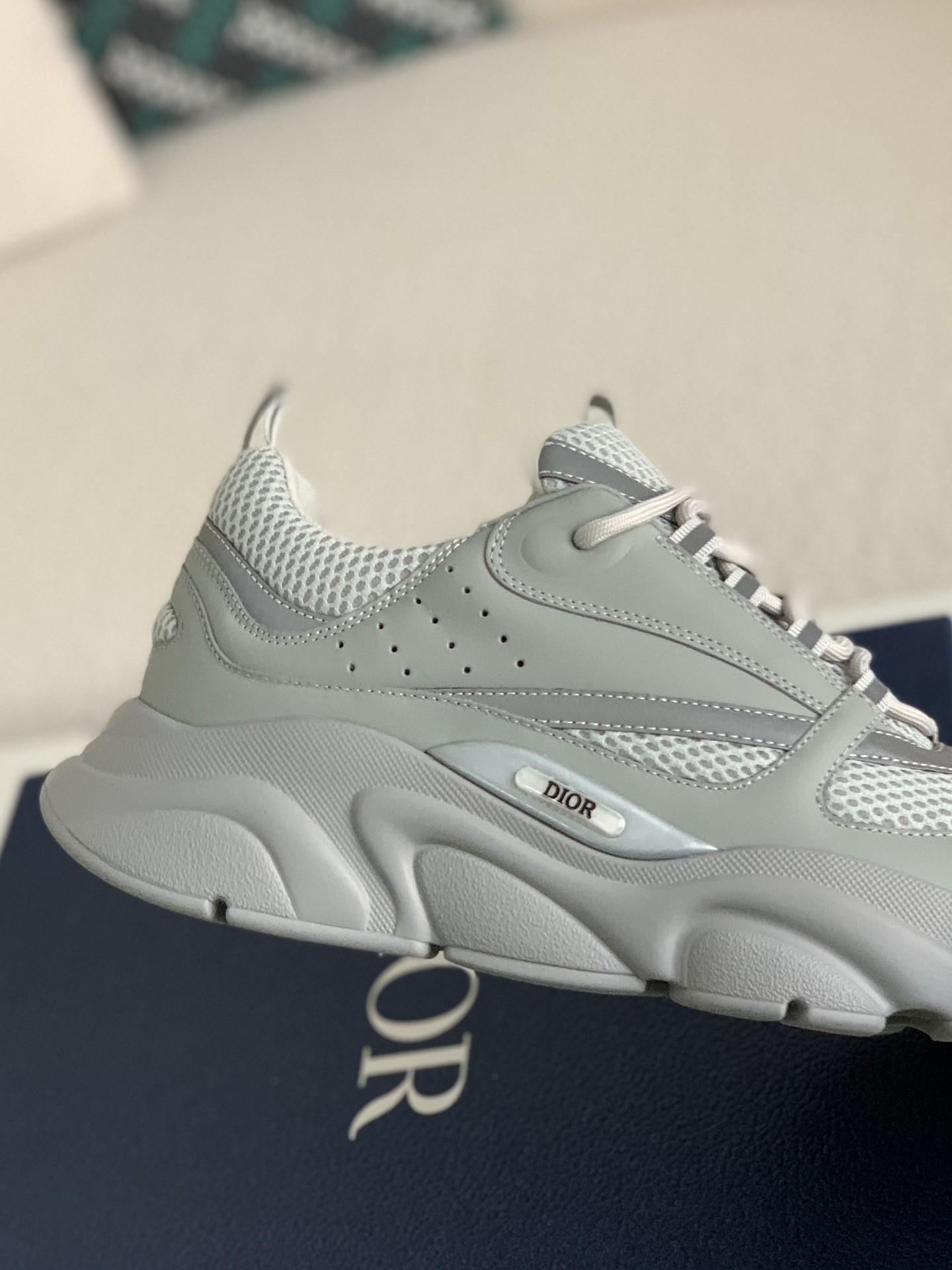 DlOR classic B22 Clunky Sneaker