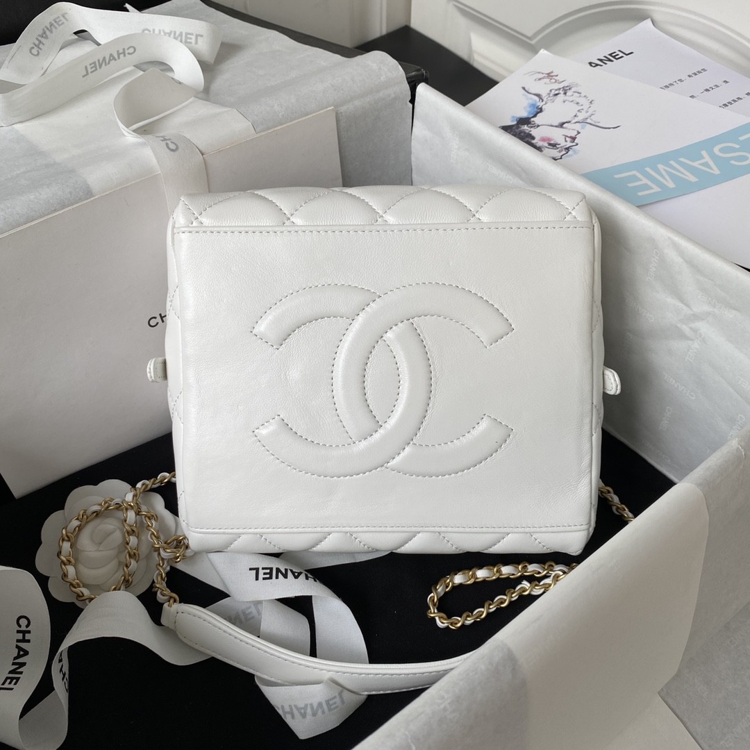 Chanel 23A Premium Handmade Sheepskin Portable Lunch Box Bag AS4201,TOp Quality